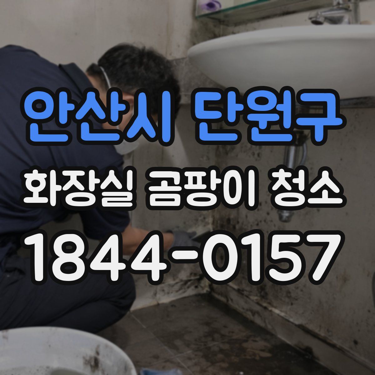 안산시 단원구 화장실 곰팡이 청소