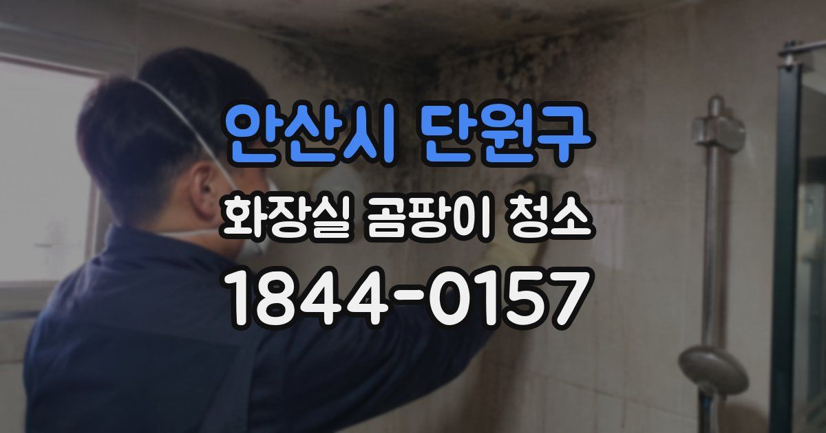 안산시 단원구 화장실 곰팡이 청소