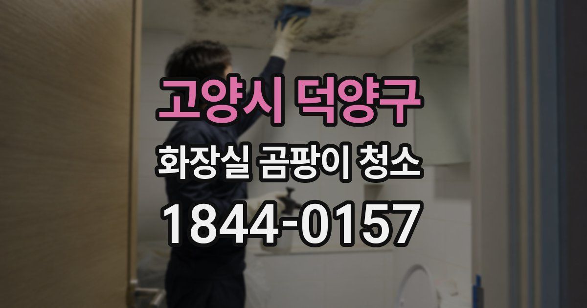 고양시 덕양구 화장실 곰팡이 청소