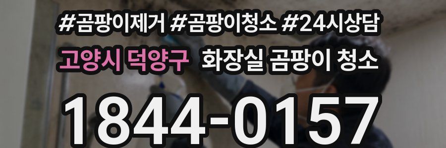 고양시 덕양구 화장실 곰팡이 청소