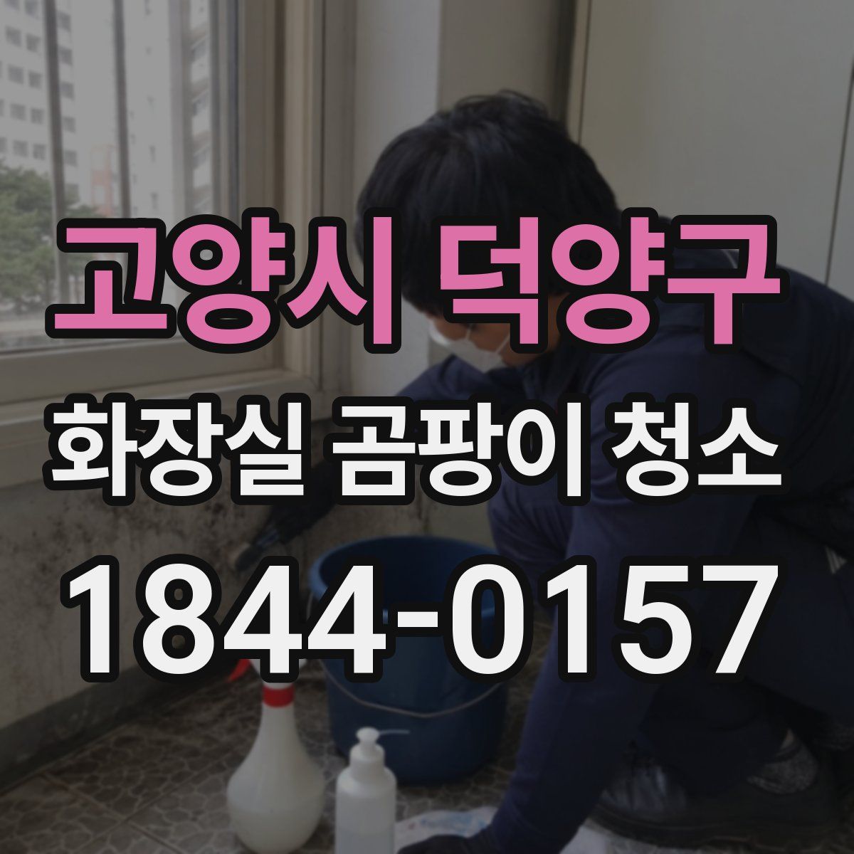 고양시 덕양구 화장실 곰팡이 청소