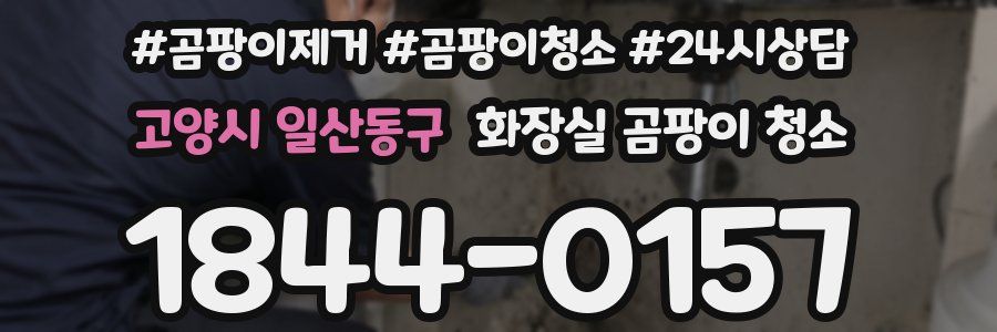 고양시 일산동구 화장실 곰팡이 청소