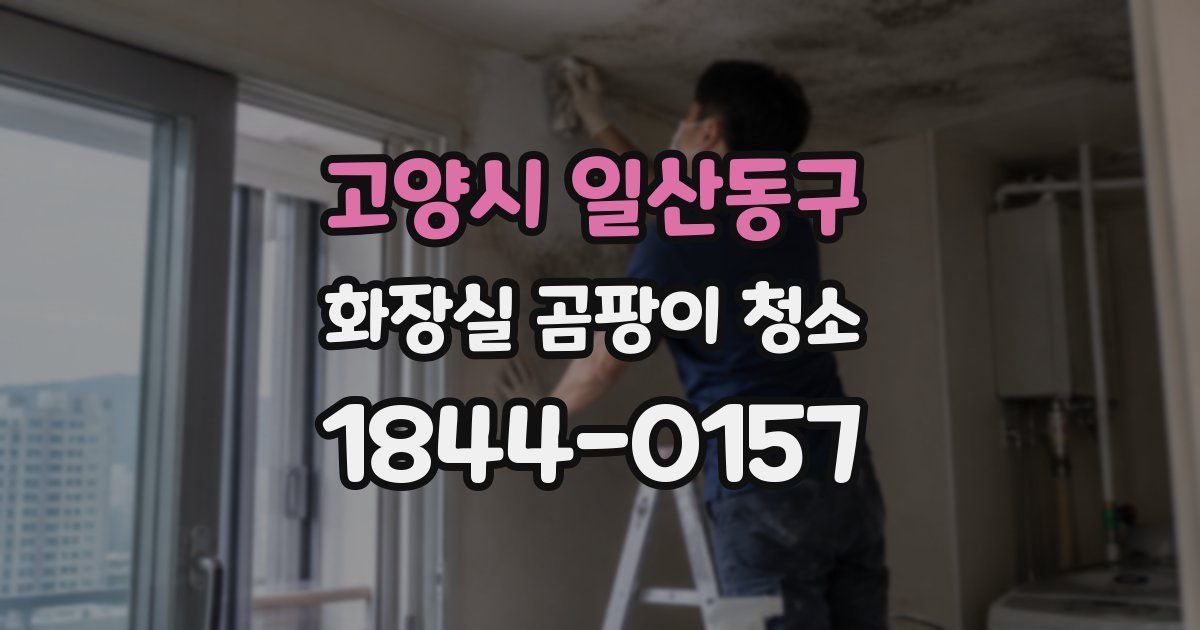 고양시 일산동구 화장실 곰팡이 청소