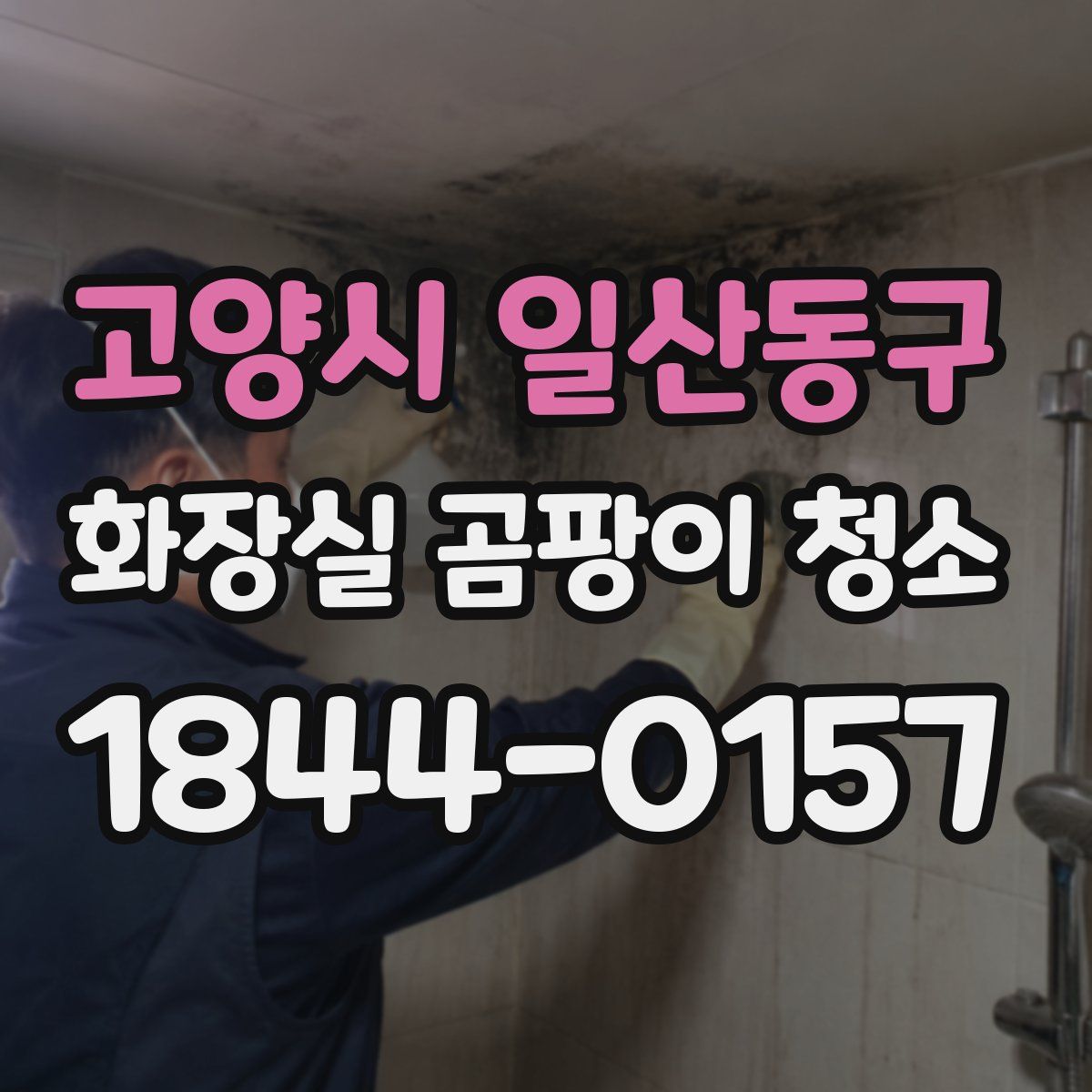 고양시 일산동구 화장실 곰팡이 청소
