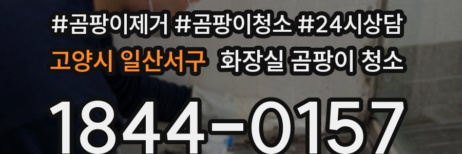 고양시 일산서구 화장실 곰팡이 청소