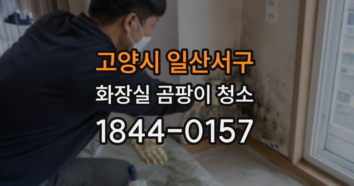 고양시 일산서구 화장실 곰팡이 청소