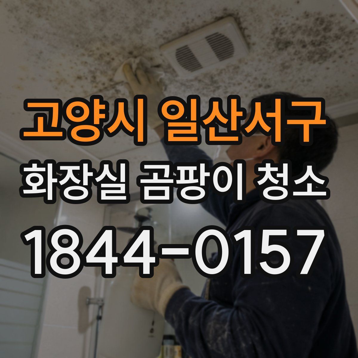 고양시 일산서구 화장실 곰팡이 청소