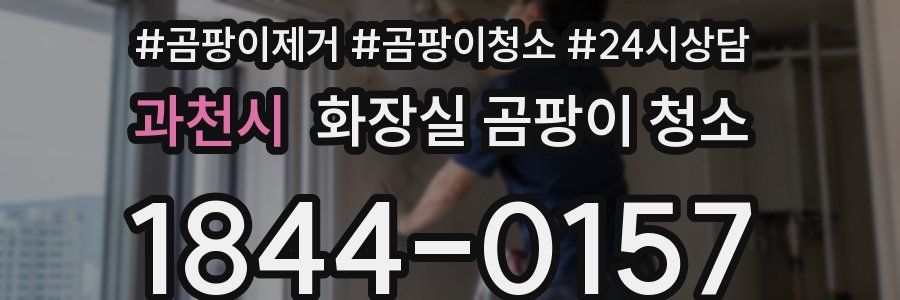 과천시 화장실 곰팡이 청소