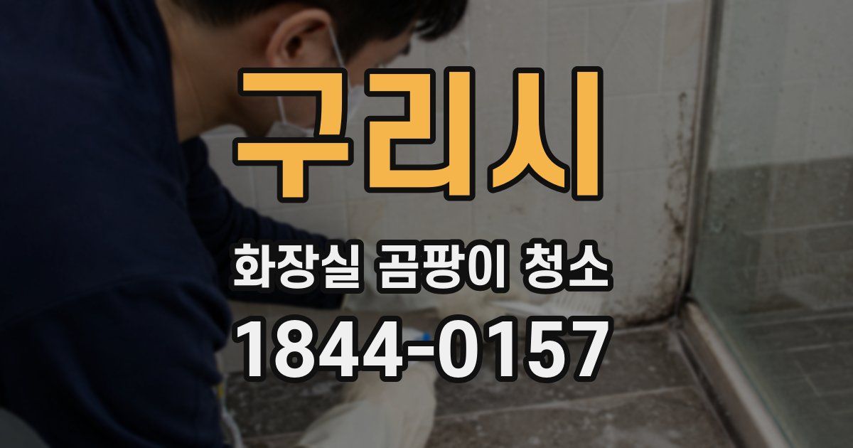 구리시 화장실 곰팡이 청소