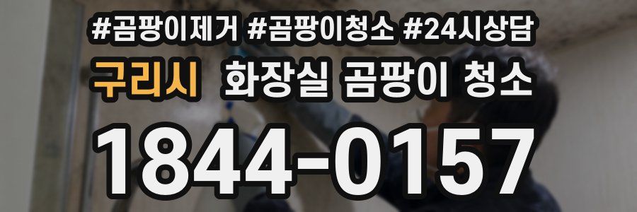 구리시 화장실 곰팡이 청소