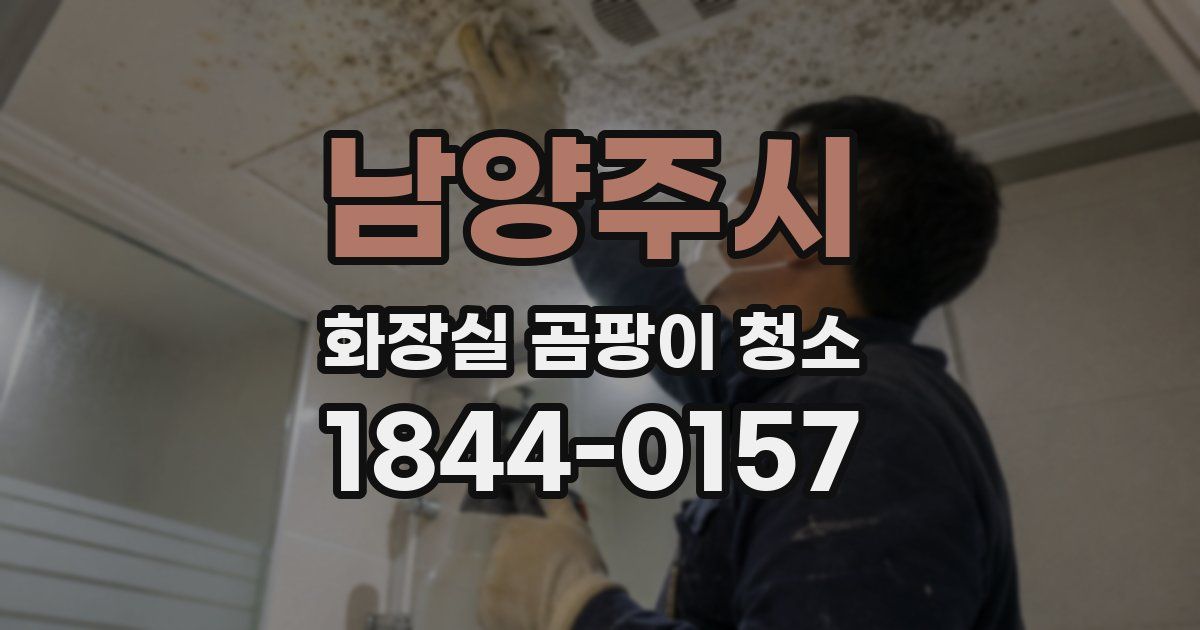 남양주시 화장실 곰팡이 청소