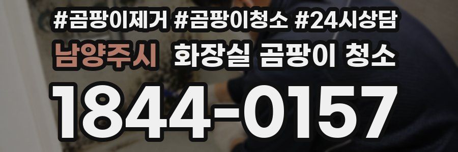 남양주시 화장실 곰팡이 청소