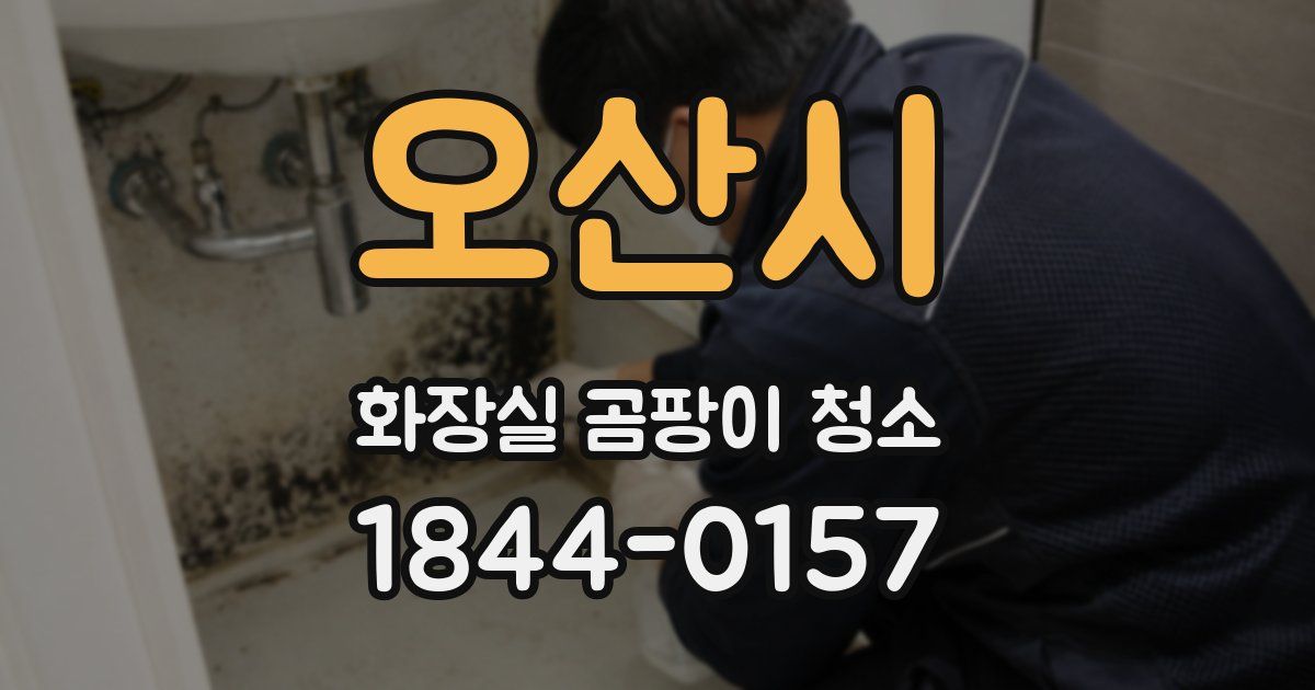 오산시 화장실 곰팡이 청소