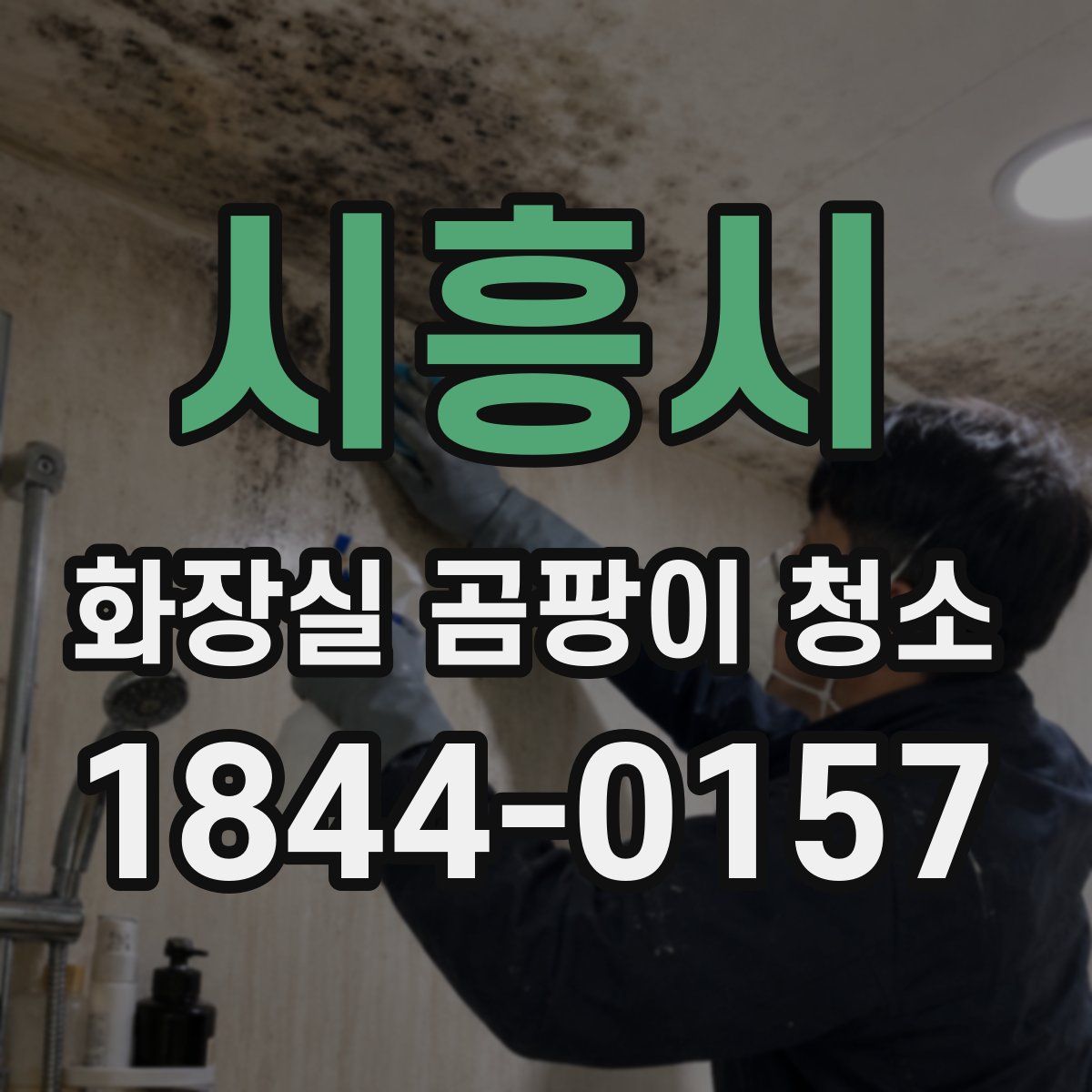 시흥시 화장실 곰팡이 청소