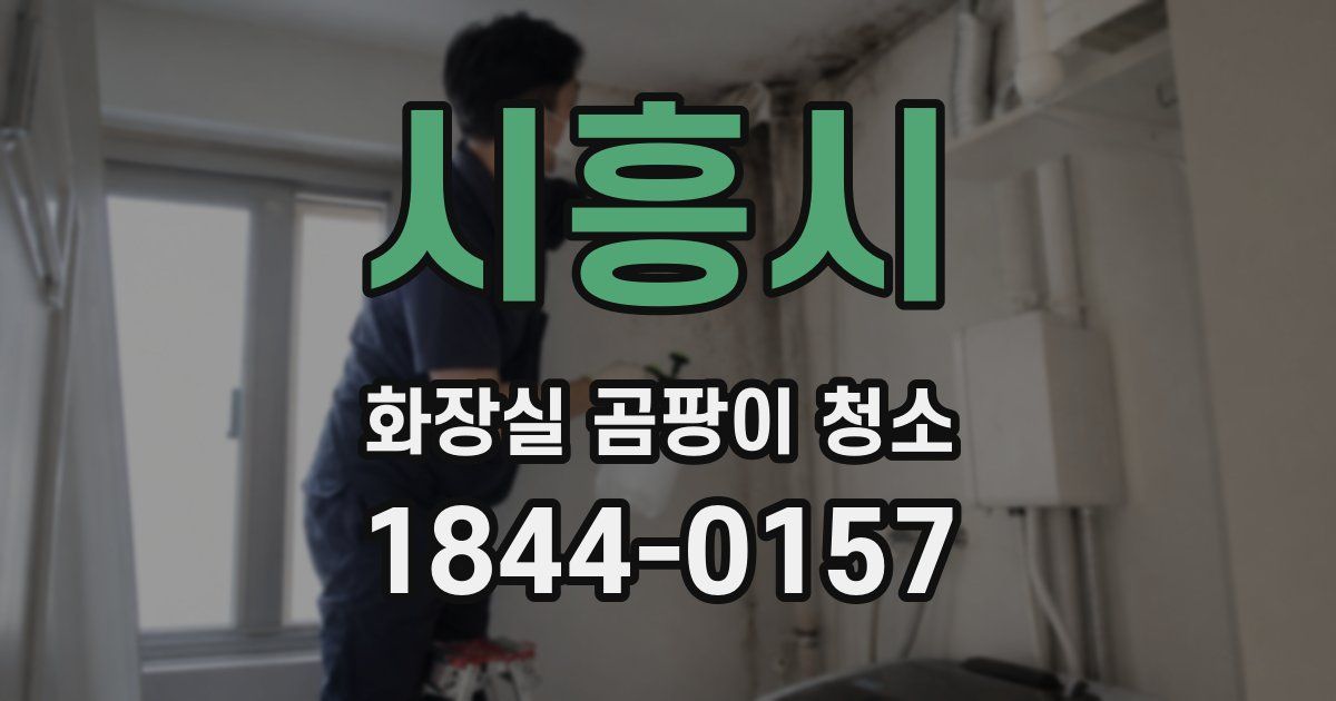 시흥시 화장실 곰팡이 청소