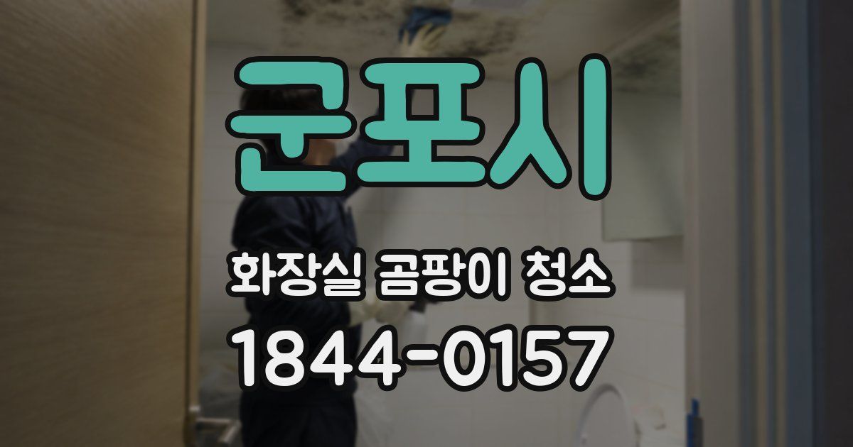 군포시 화장실 곰팡이 청소