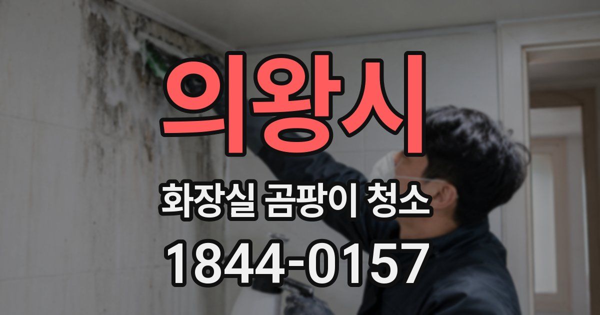 의왕시 화장실 곰팡이 청소