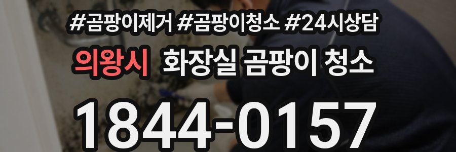 의왕시 화장실 곰팡이 청소
