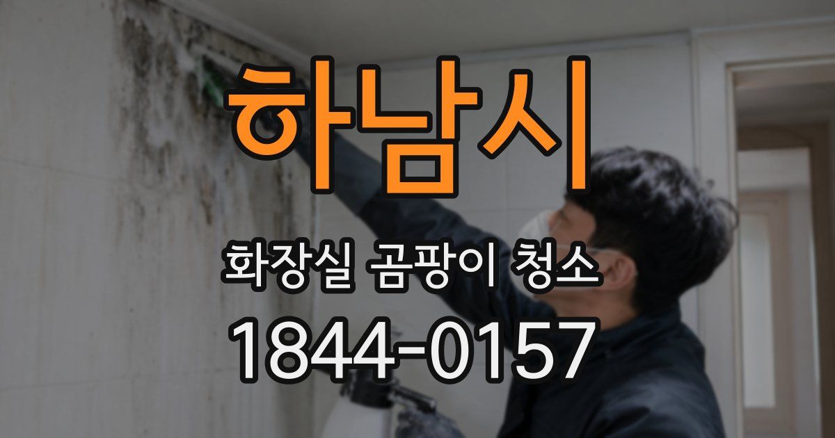 하남시 화장실 곰팡이 청소