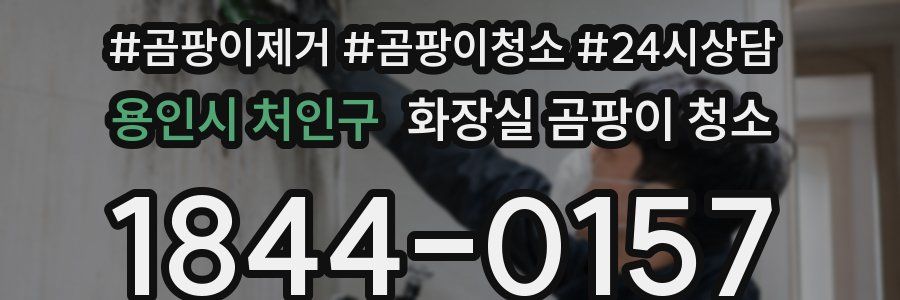 용인시 처인구 화장실 곰팡이 청소