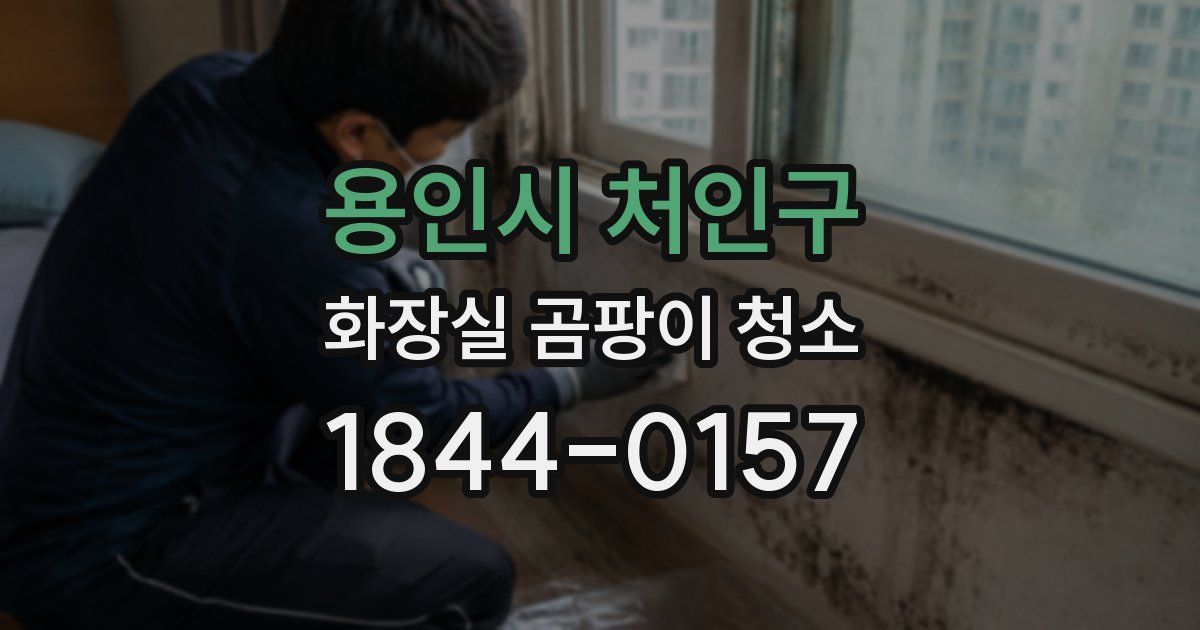 용인시 처인구 화장실 곰팡이 청소