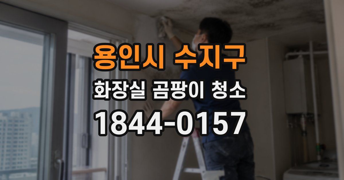 용인시 수지구 화장실 곰팡이 청소