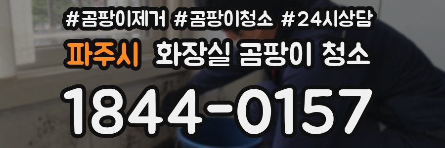 파주시 화장실 곰팡이 청소