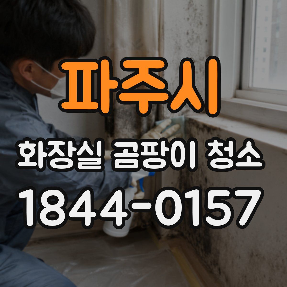 파주시 화장실 곰팡이 청소