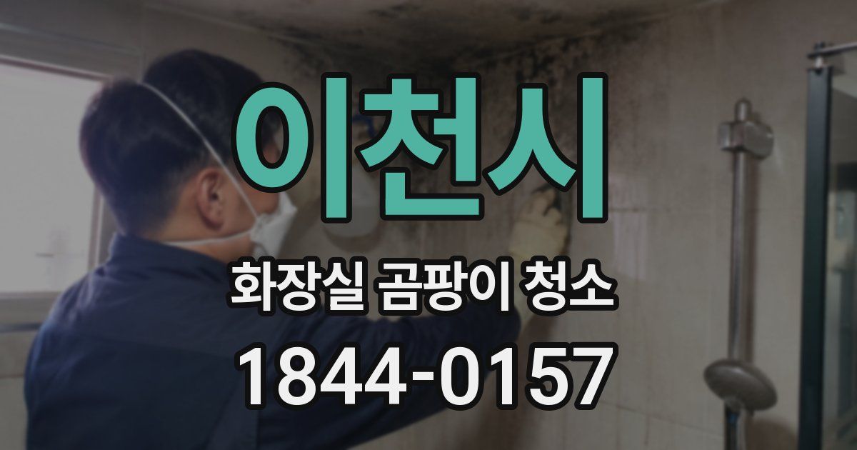 이천시 화장실 곰팡이 청소