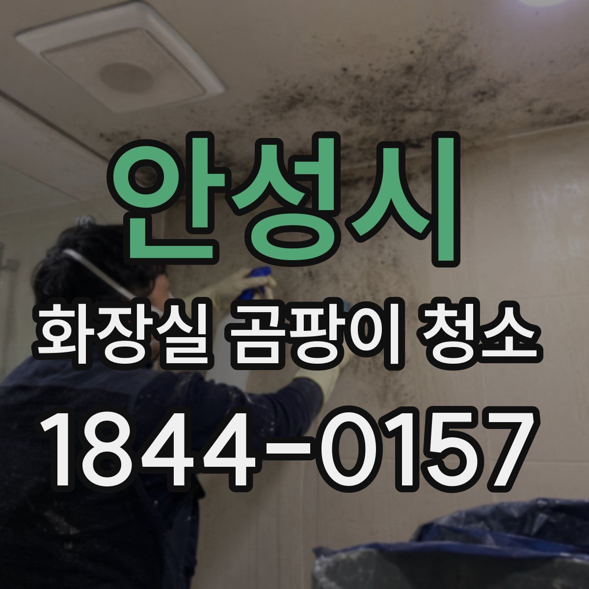 안성시 화장실 곰팡이 청소