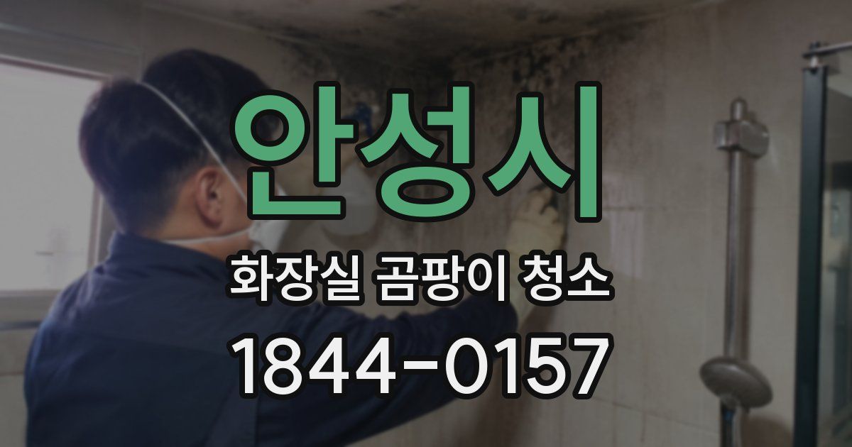 안성시 화장실 곰팡이 청소
