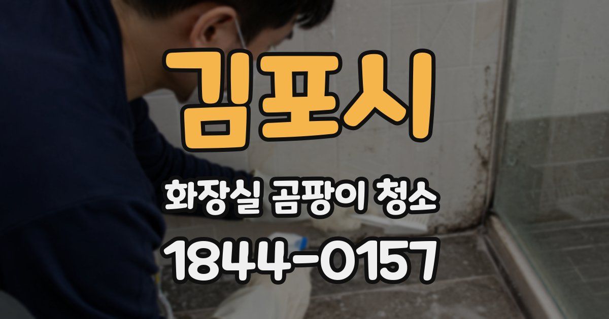 김포시 화장실 곰팡이 청소