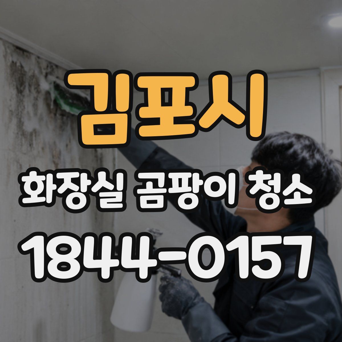 김포시 화장실 곰팡이 청소