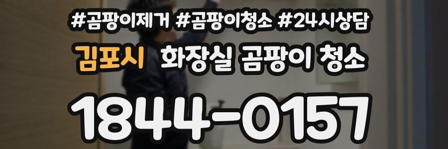 김포시 화장실 곰팡이 청소