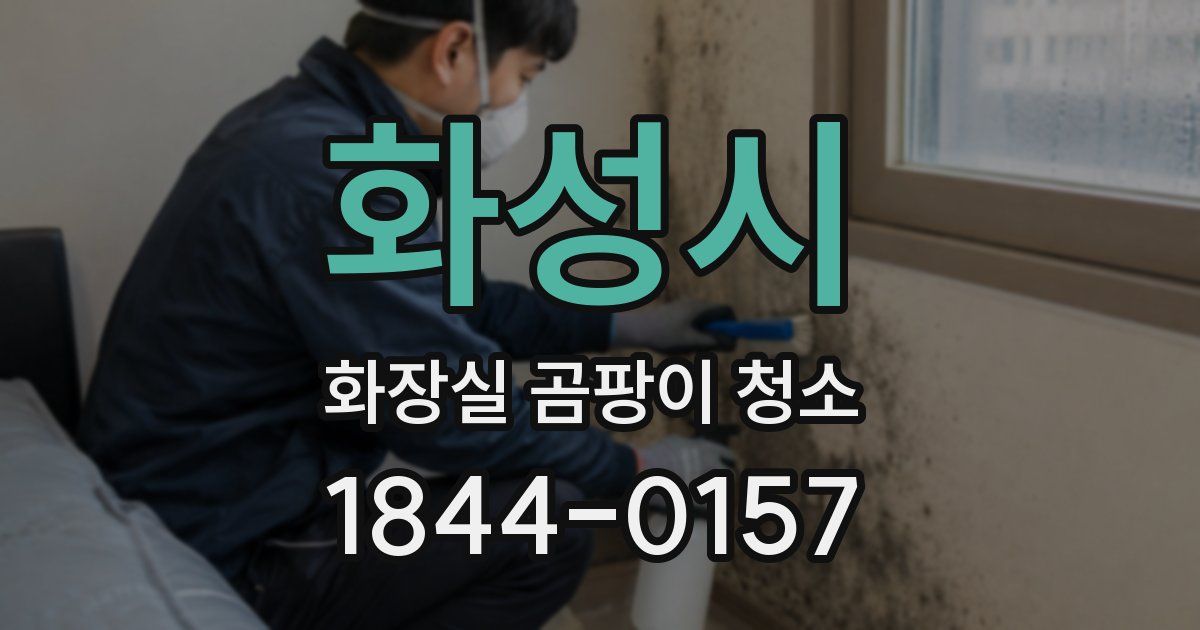 화성시 화장실 곰팡이 청소