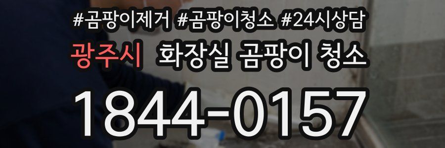 광주시 화장실 곰팡이 청소