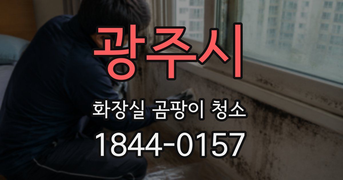 광주시 화장실 곰팡이 청소