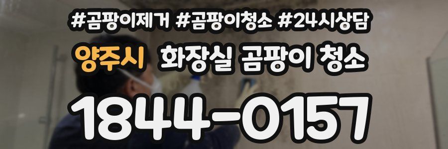 양주시 화장실 곰팡이 청소