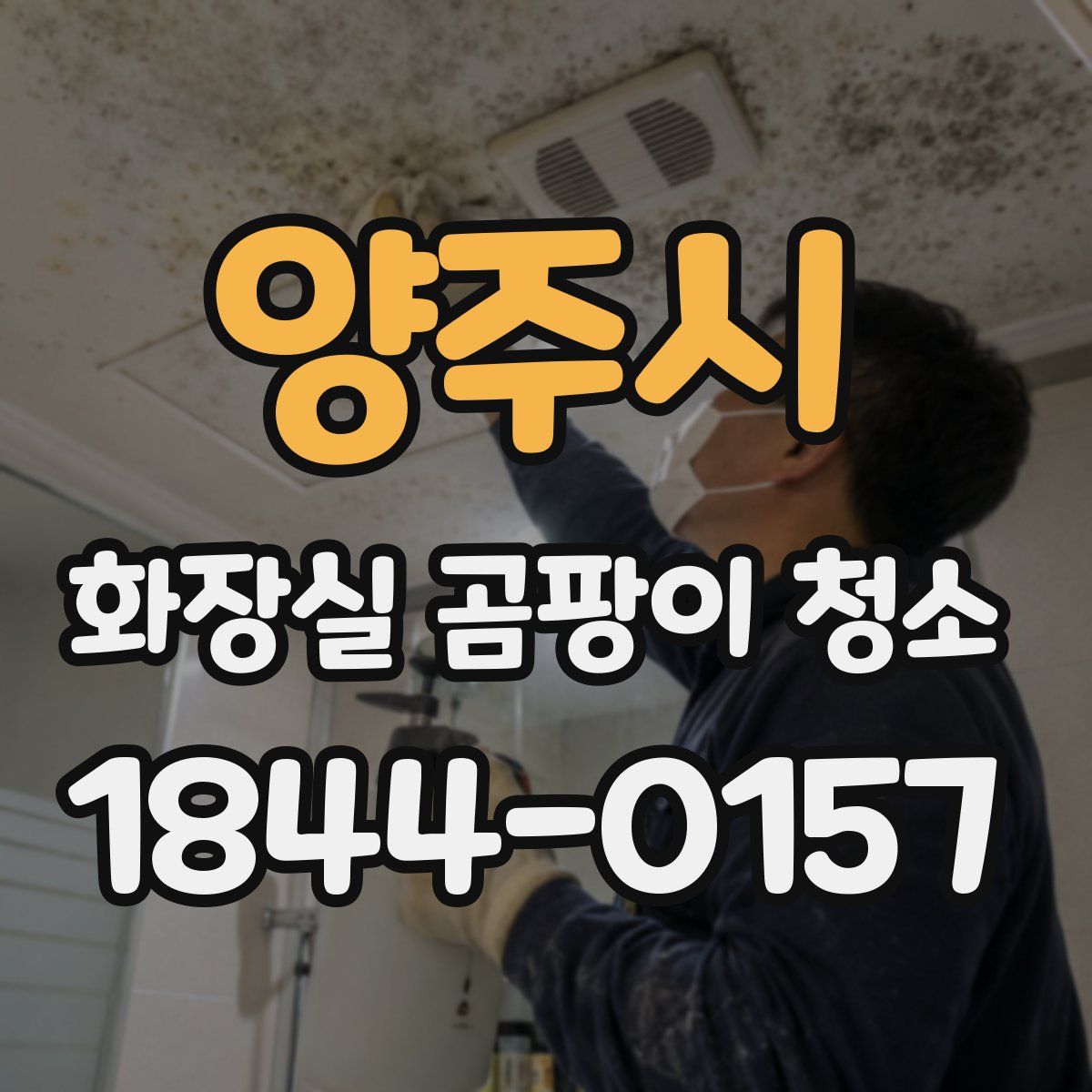 양주시 화장실 곰팡이 청소
