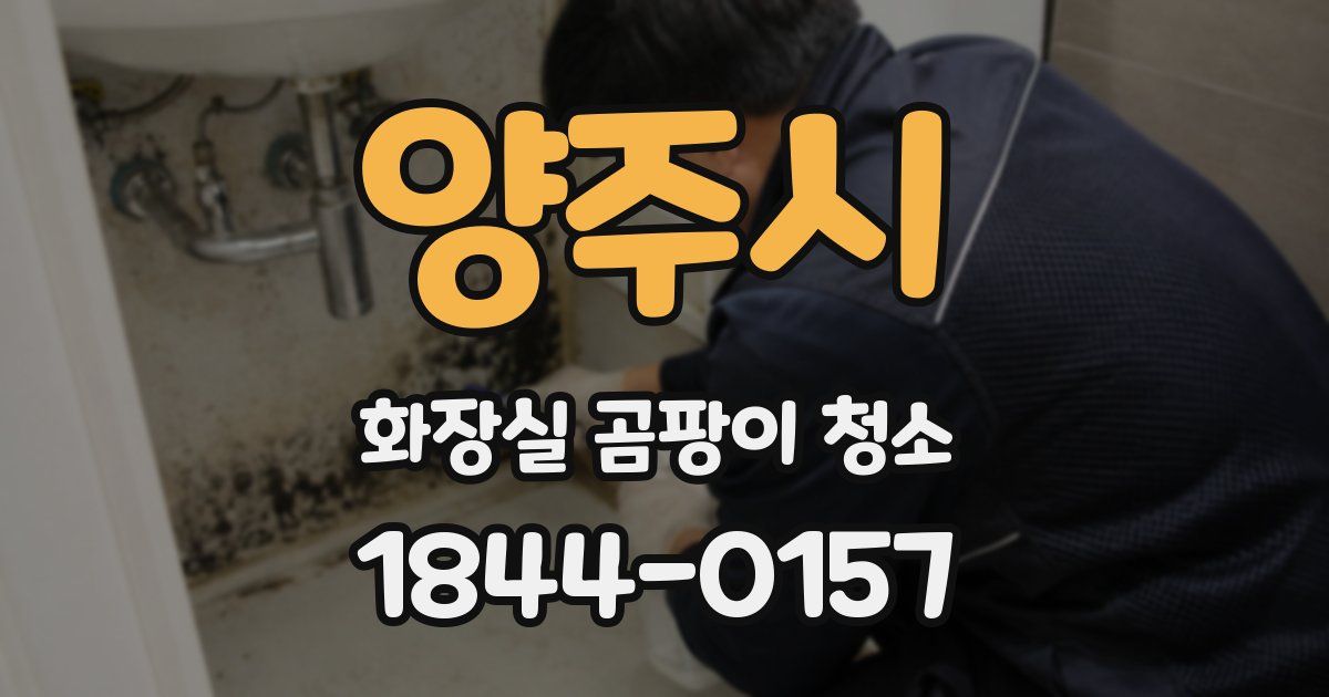 양주시 화장실 곰팡이 청소