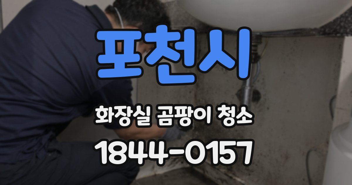 포천시 화장실 곰팡이 청소