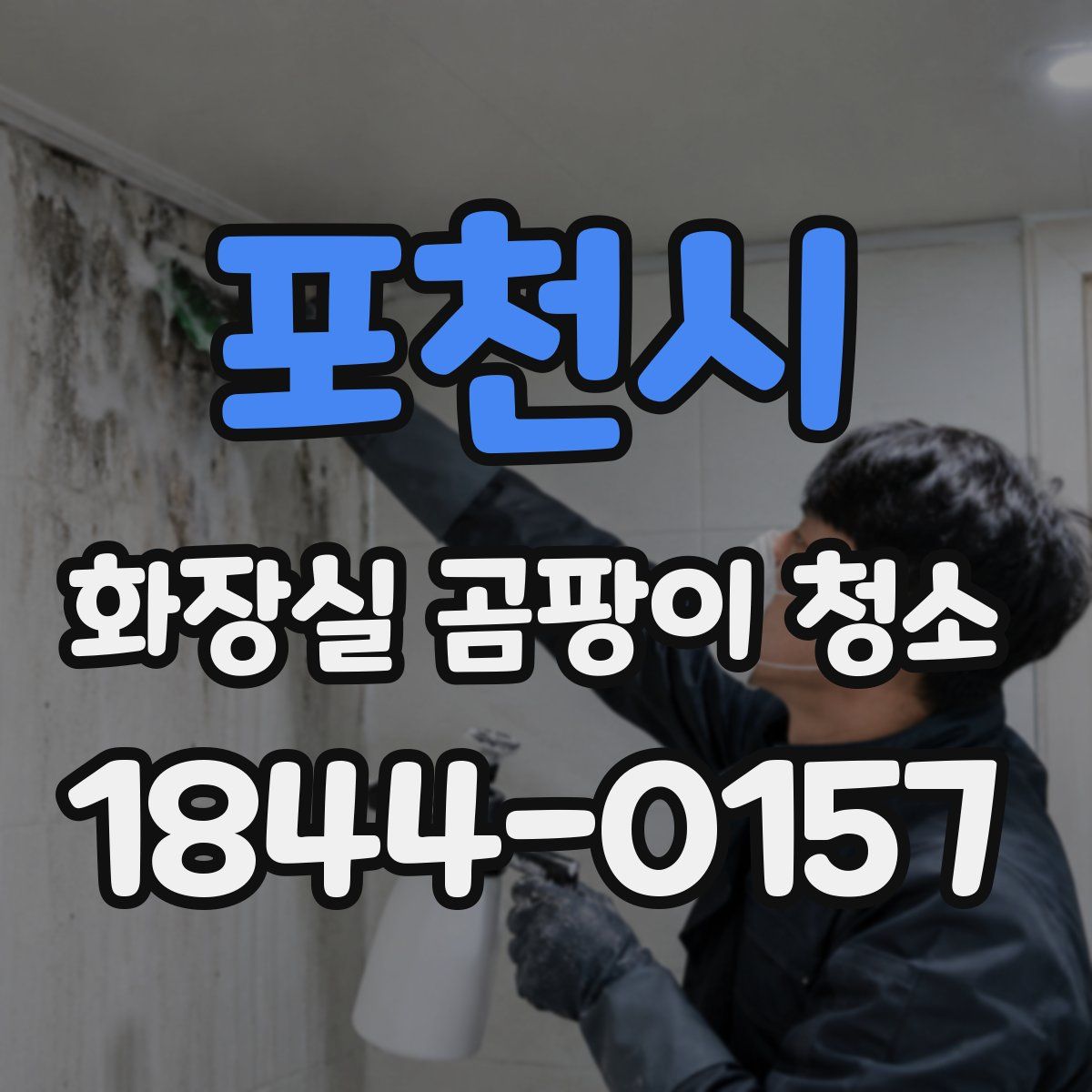 포천시 화장실 곰팡이 청소