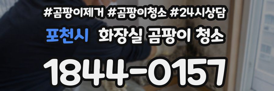 포천시 화장실 곰팡이 청소