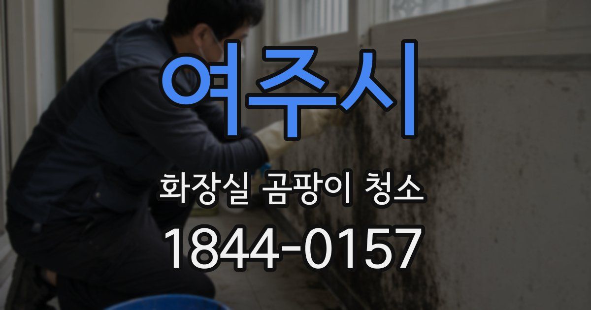 여주시 화장실 곰팡이 청소