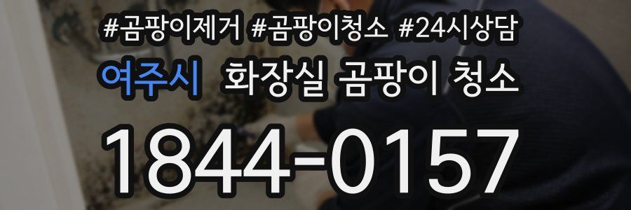 여주시 화장실 곰팡이 청소