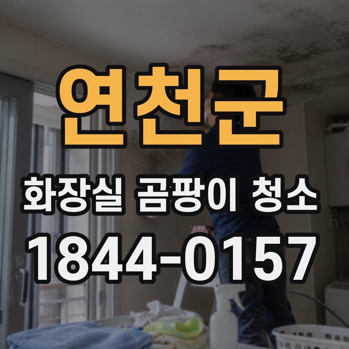 연천군 화장실 곰팡이 청소 실리콘 틈부터 확인하는 제거 순서