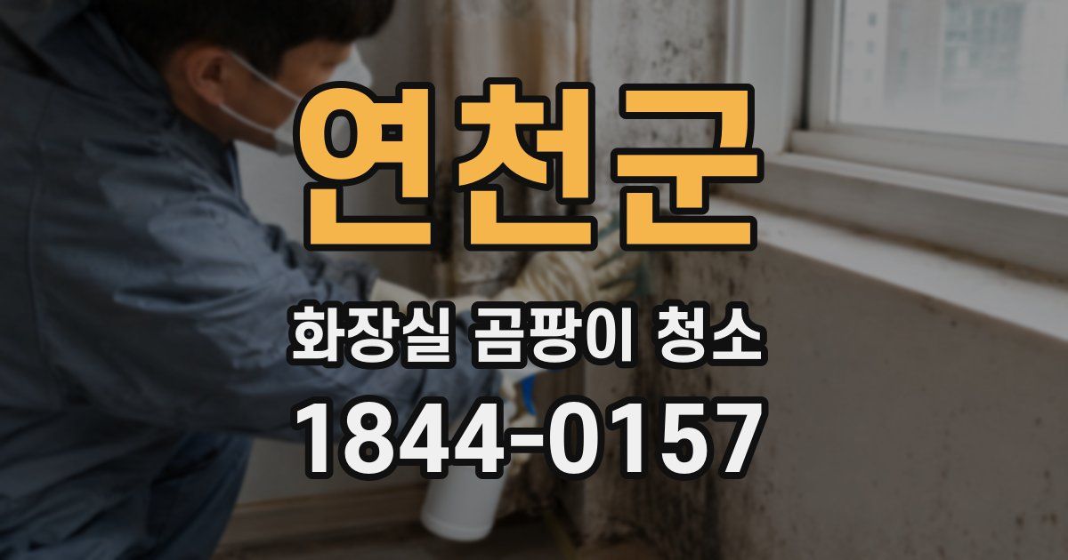 연천군 화장실 곰팡이 청소