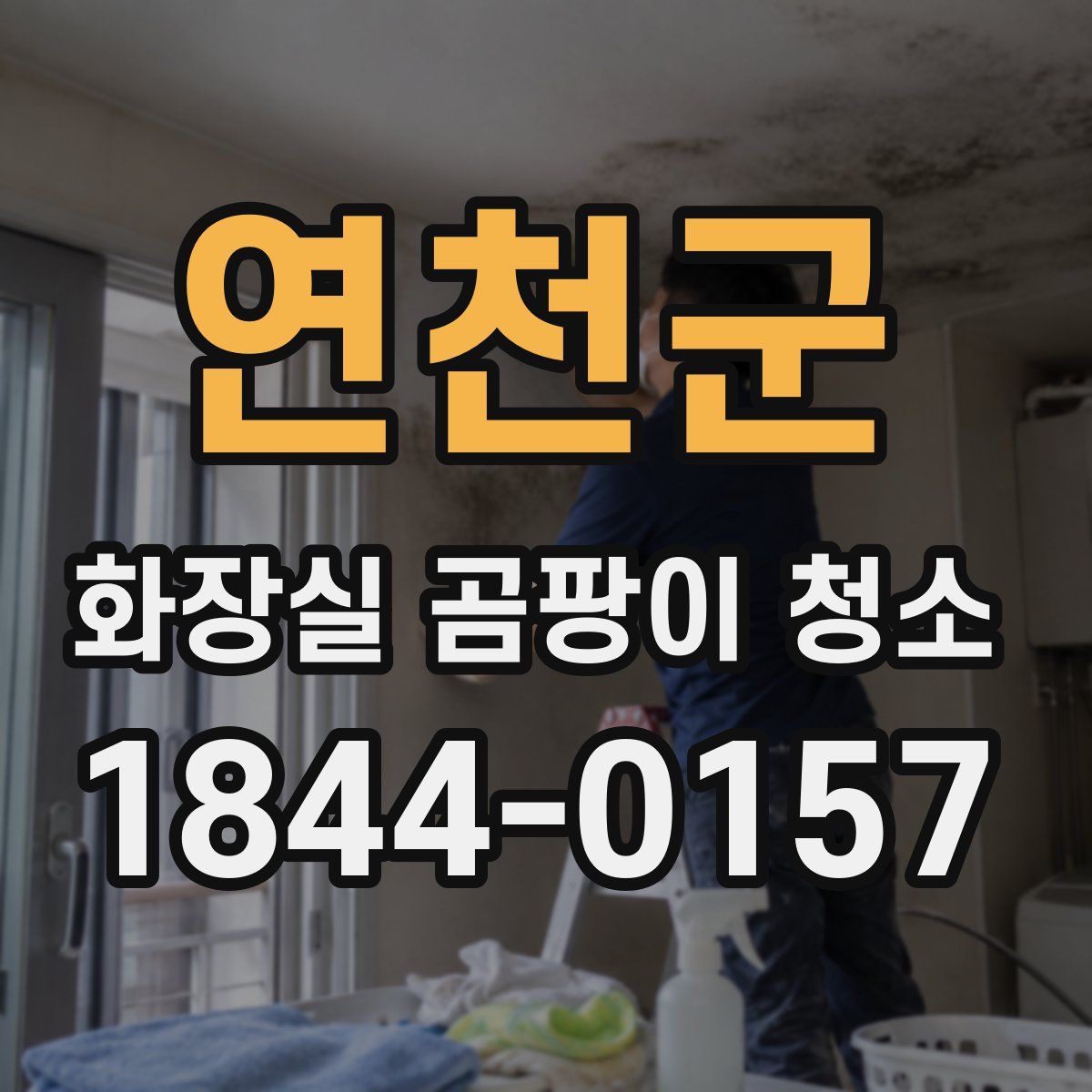 연천군 화장실 곰팡이 청소