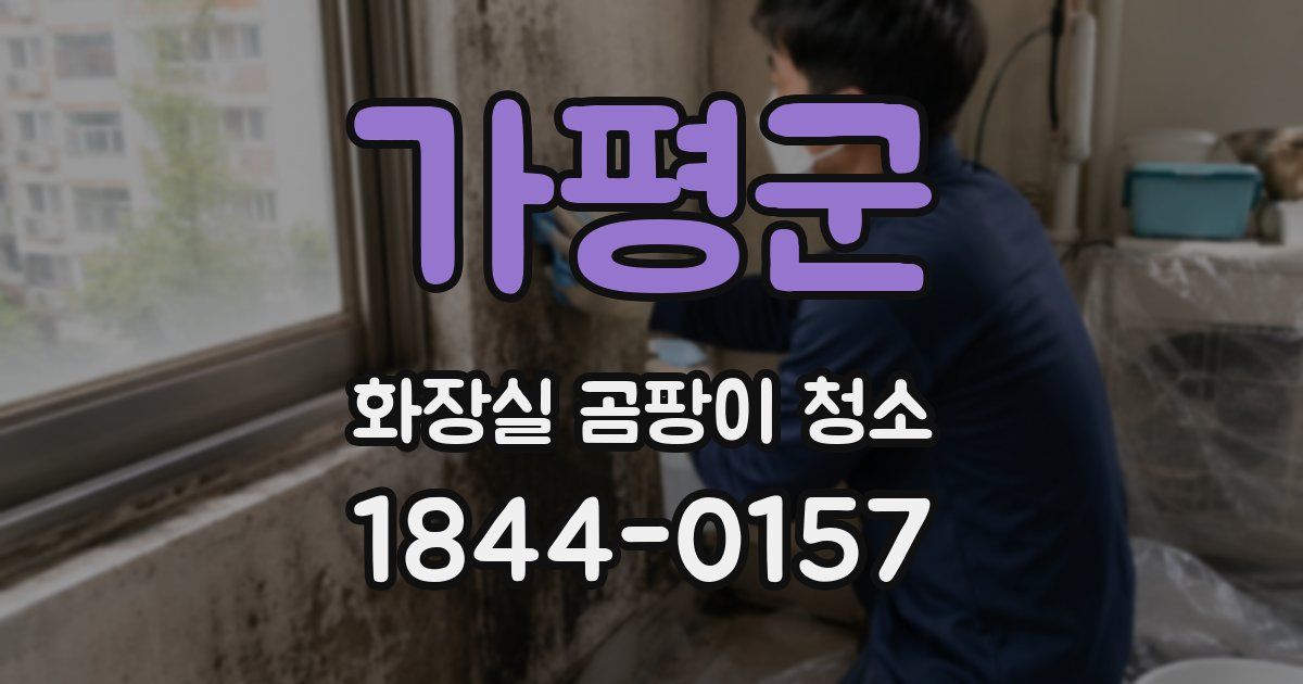 가평군 화장실 곰팡이 청소