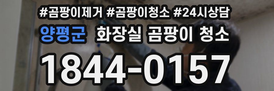 양평군 화장실 곰팡이 청소